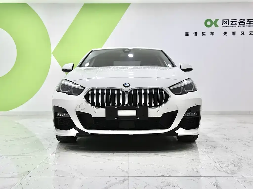 BMW 2 Series (Import) — фото 10