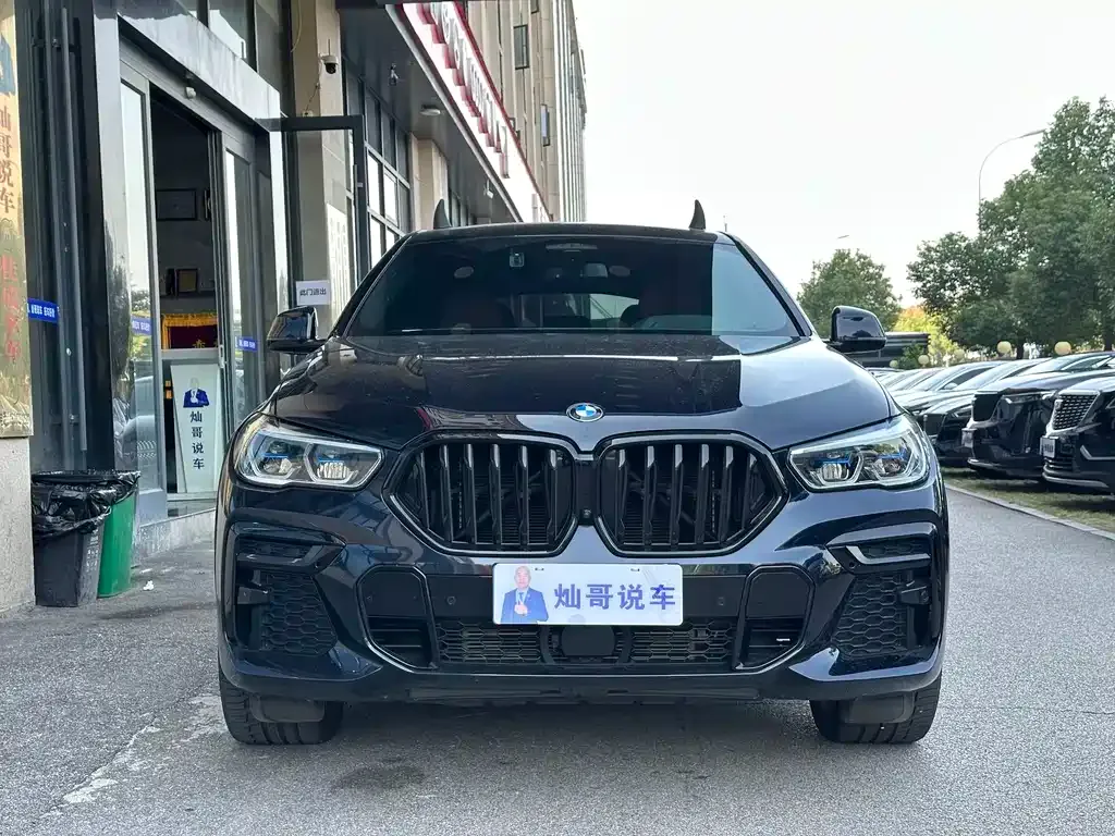 BMW X6 — фото 10