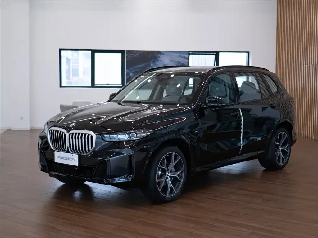 BMW X5 — фото 10