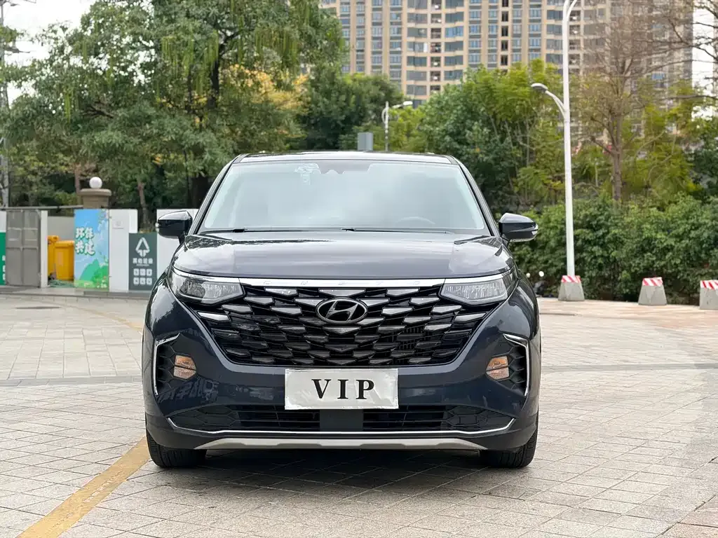 Hyundai Custo — фото 7