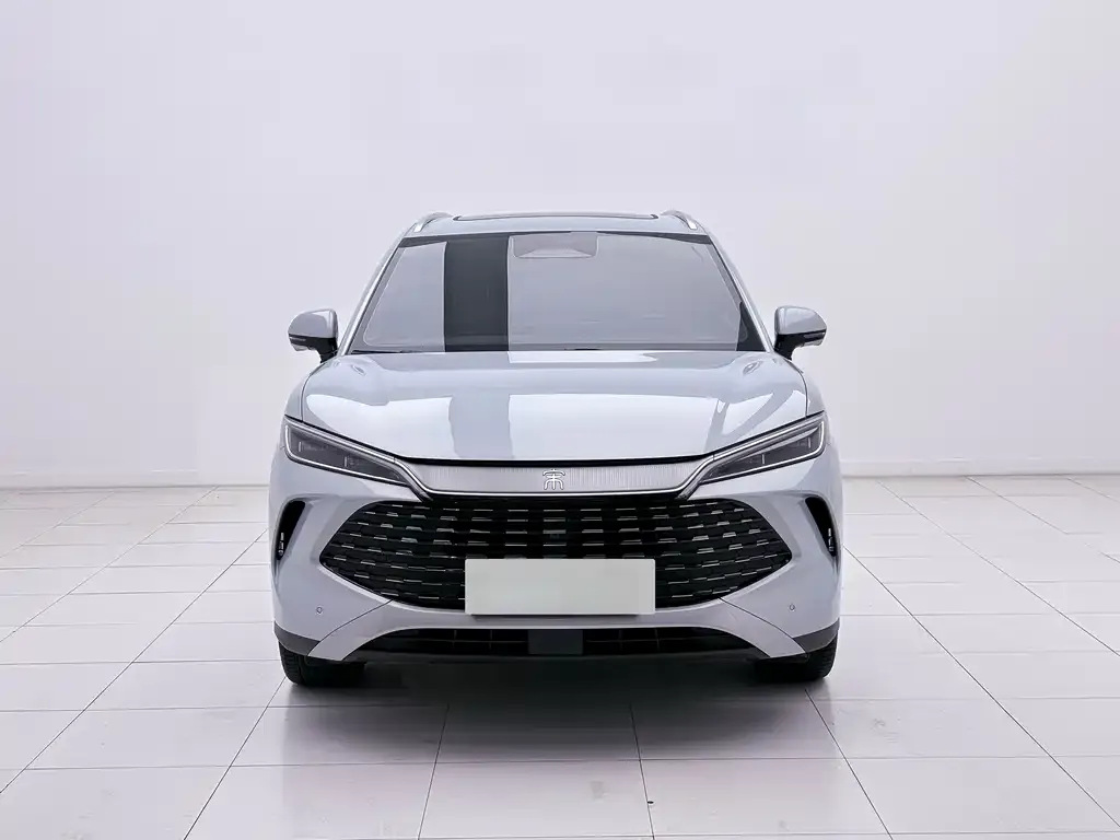 BYD L DM-i — фото 4