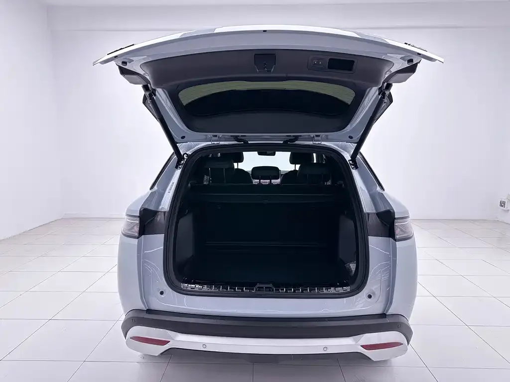 BYD L DM-i — фото 2
