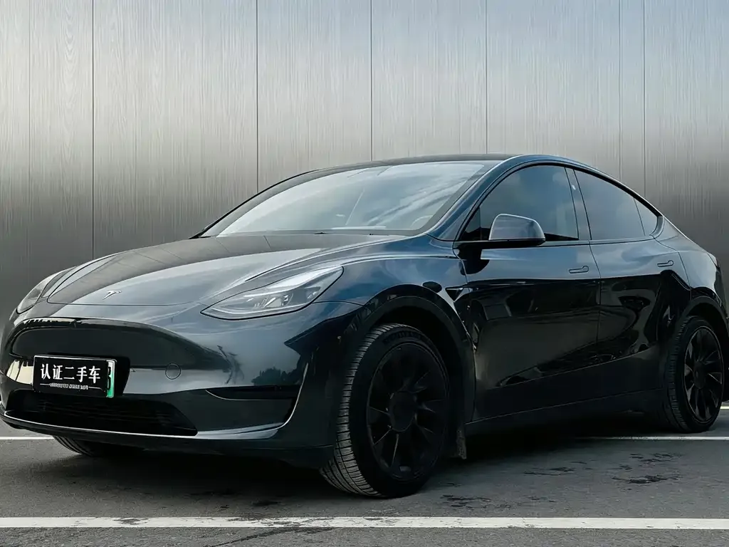 Tesla Model Y — фото 1