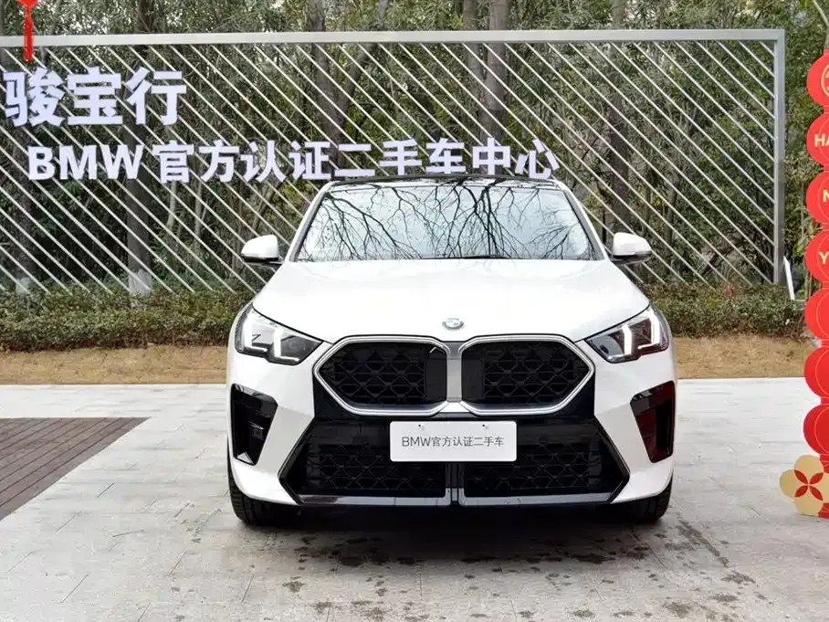 BMW X2 (Import) — фото 10