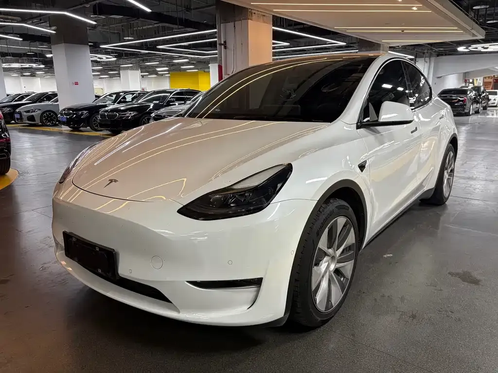 Tesla Model Y — фото 1