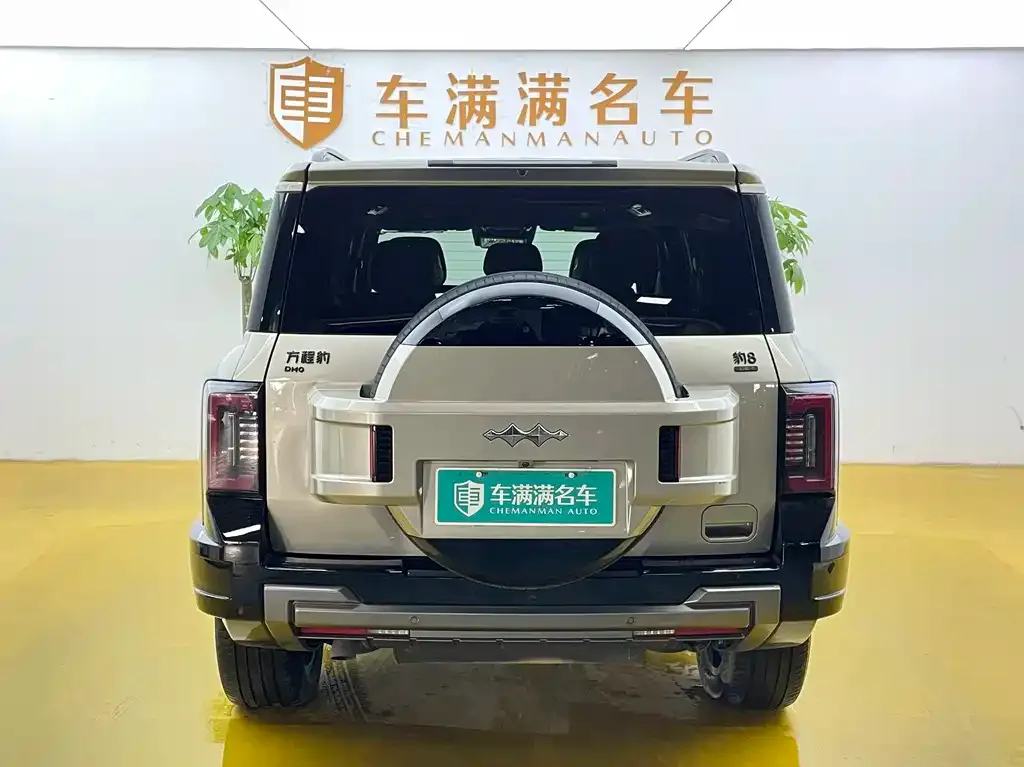 Fang Cheng Bao Leopard 8 — фото 4
