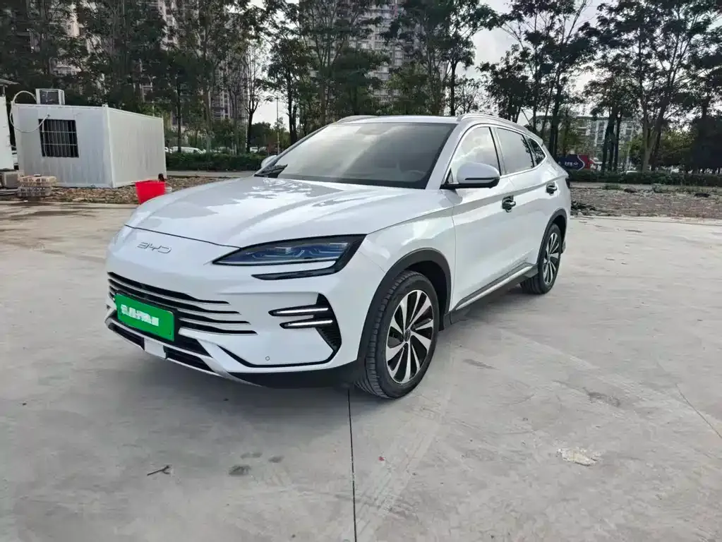 BYD PLUS New Energy — фото 1