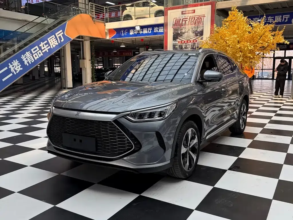 BYD PLUS New Energy — фото 1