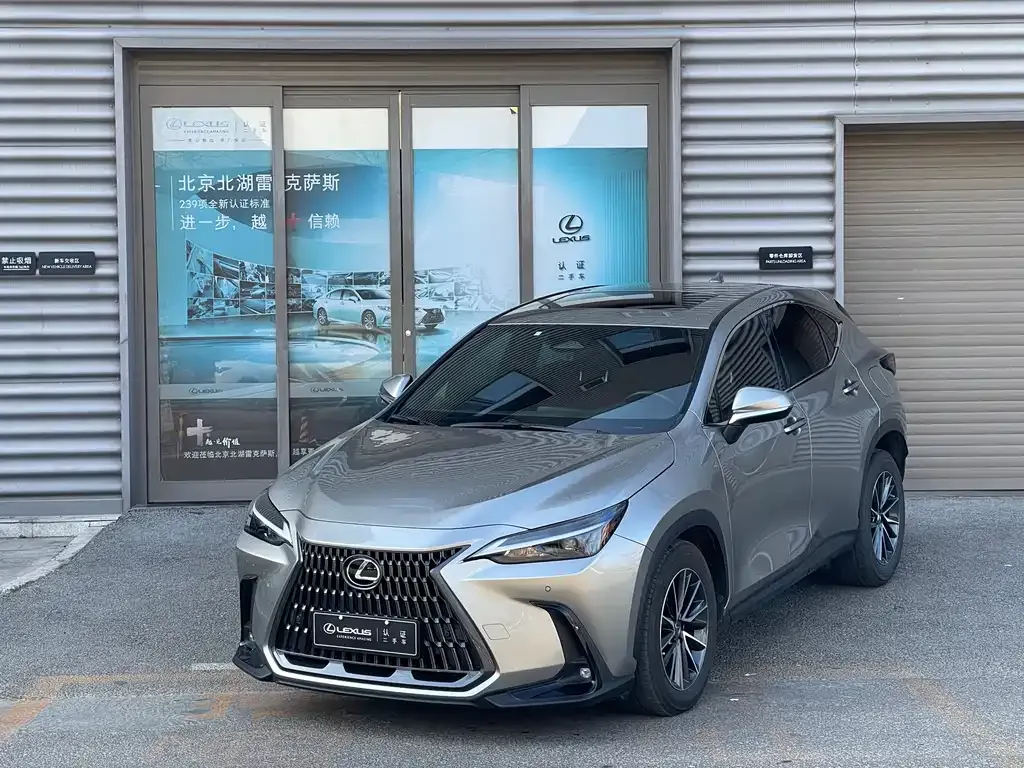 Lexus NX New Energy — фото 1