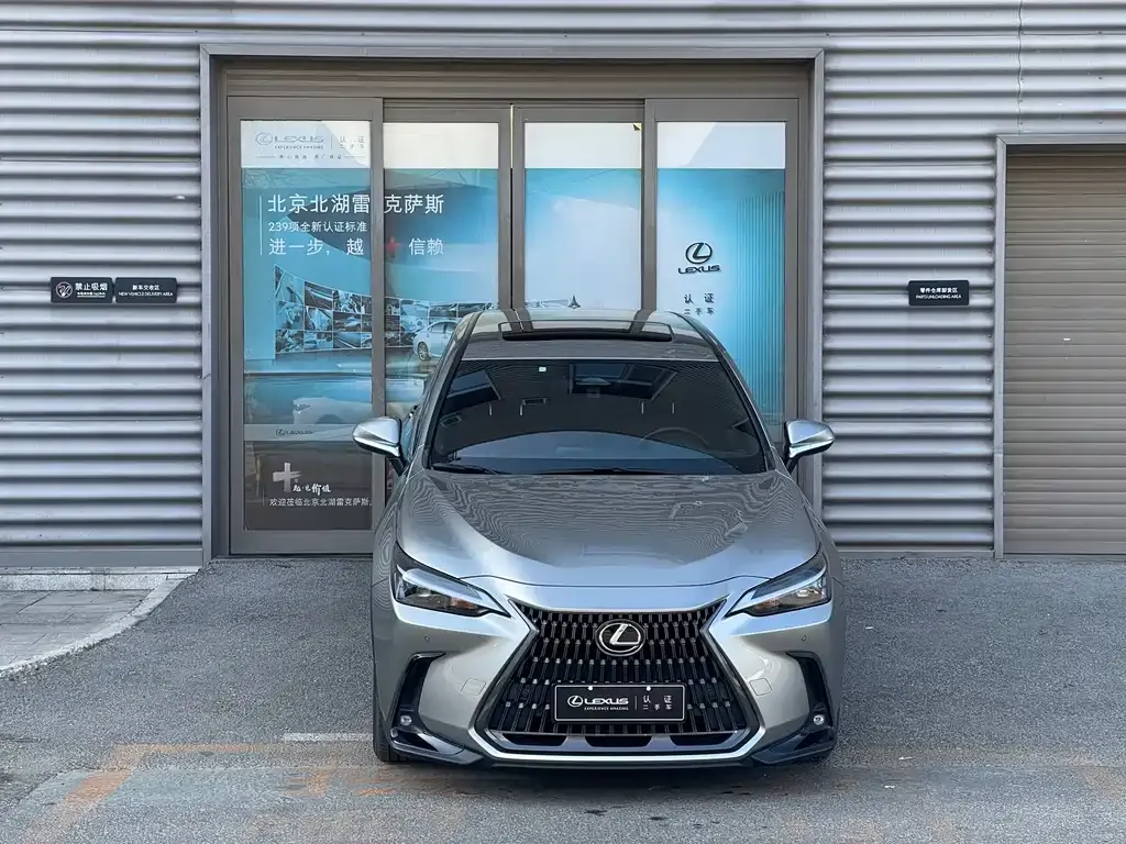 Lexus NX New Energy — фото 7
