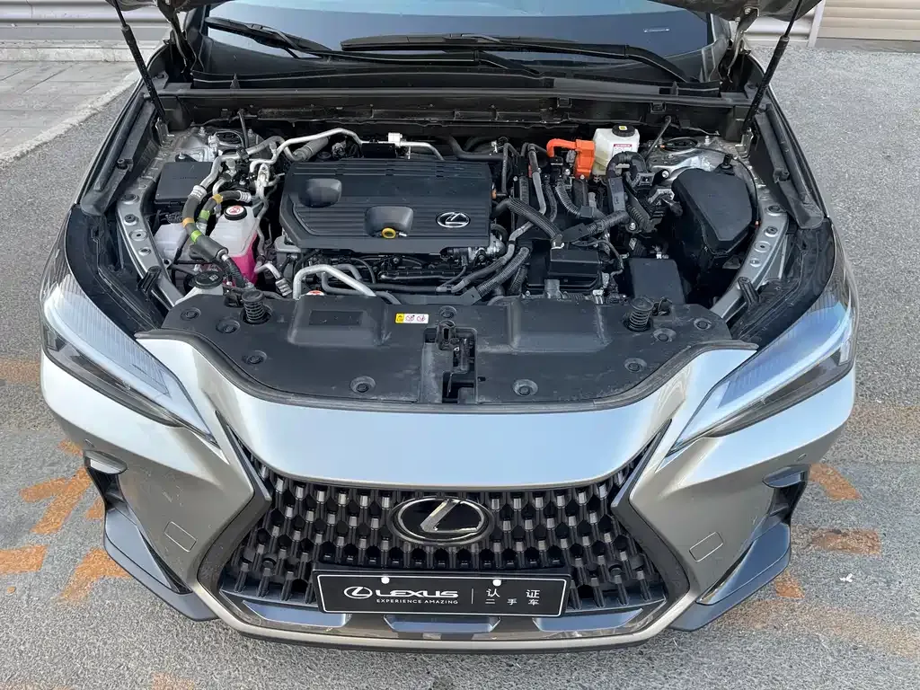 Lexus NX New Energy — фото 10