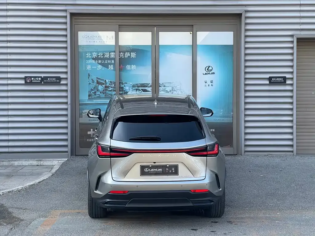 Lexus NX New Energy — фото 8