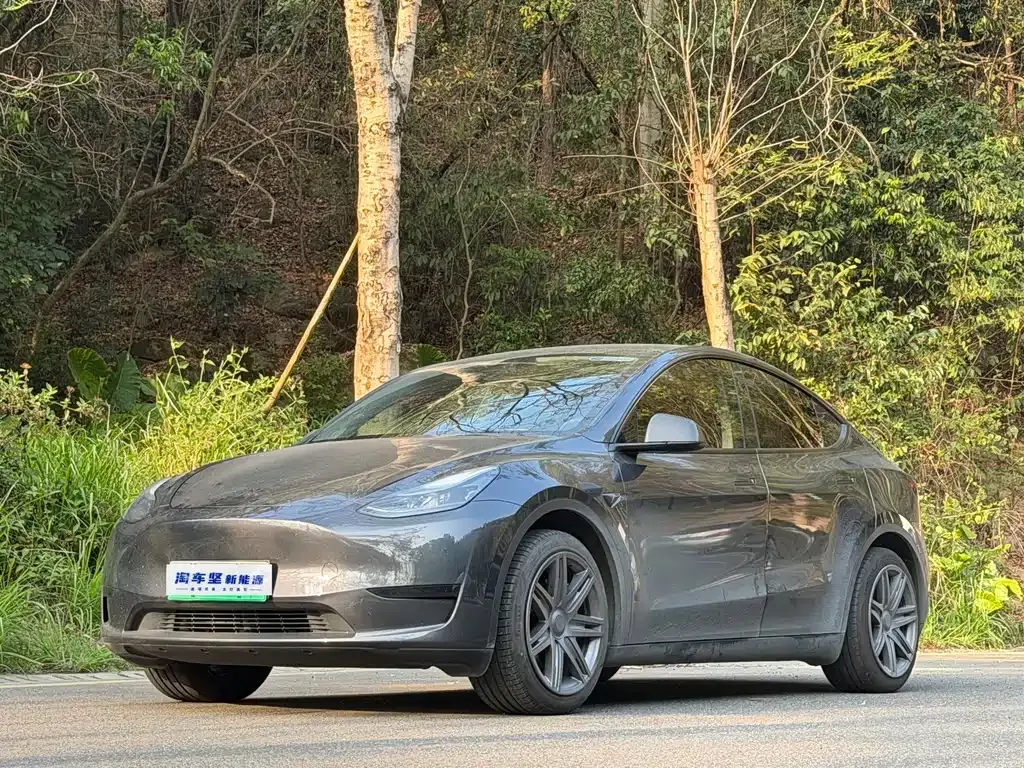 Tesla Model Y — фото 1
