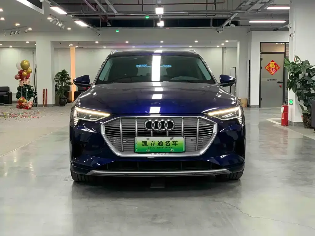 Audi e-tron (Import) — фото 3