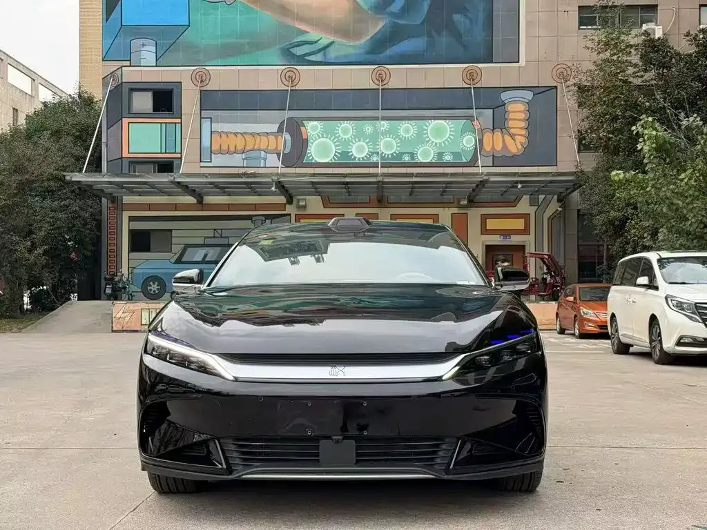 BYD Han — фото 10