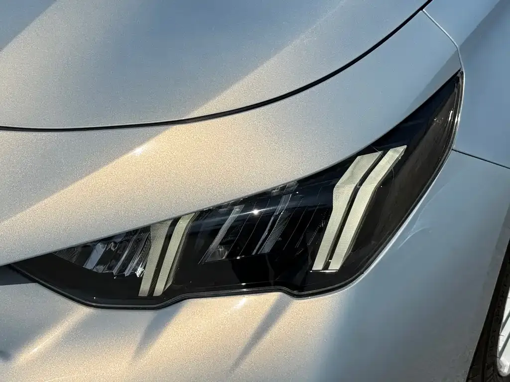 GAC Motor Shadow Leopard — фото 10
