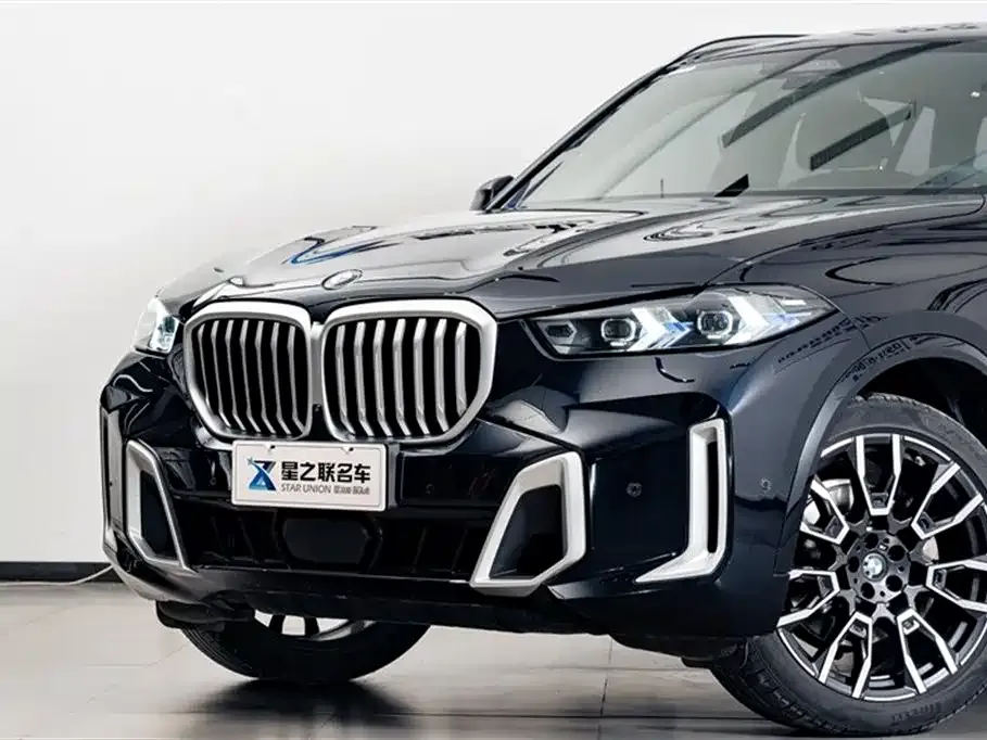 BMW X5 — фото 10