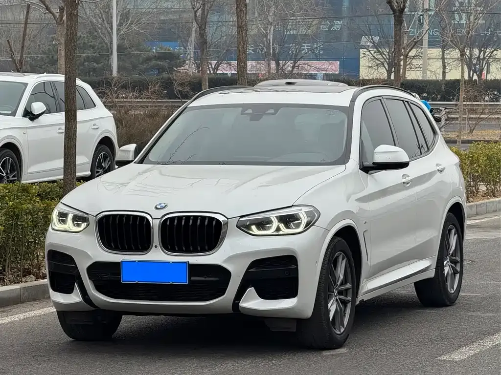 BMW X3 — фото 1