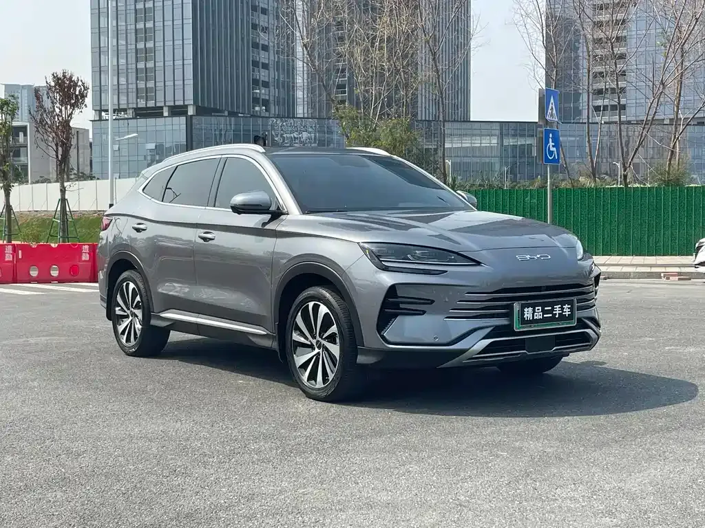 BYD PLUS New Energy — фото 8