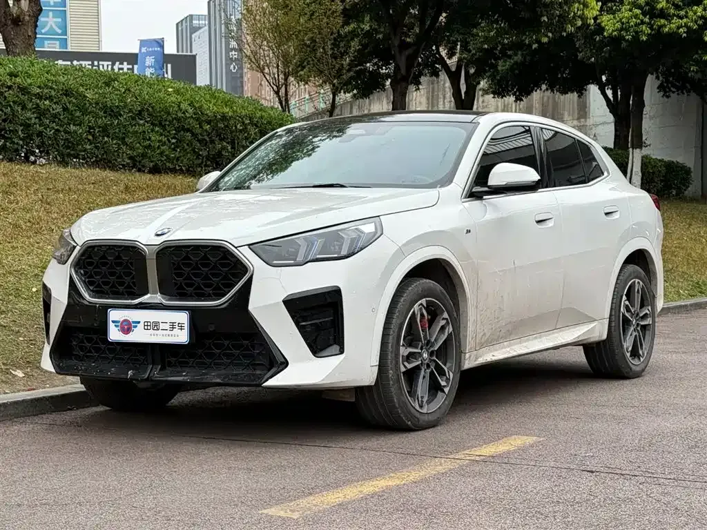 BMW X2 (Import) — фото 1