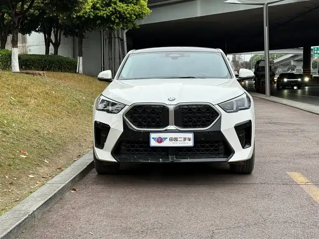 BMW X2 (Import) — фото 5