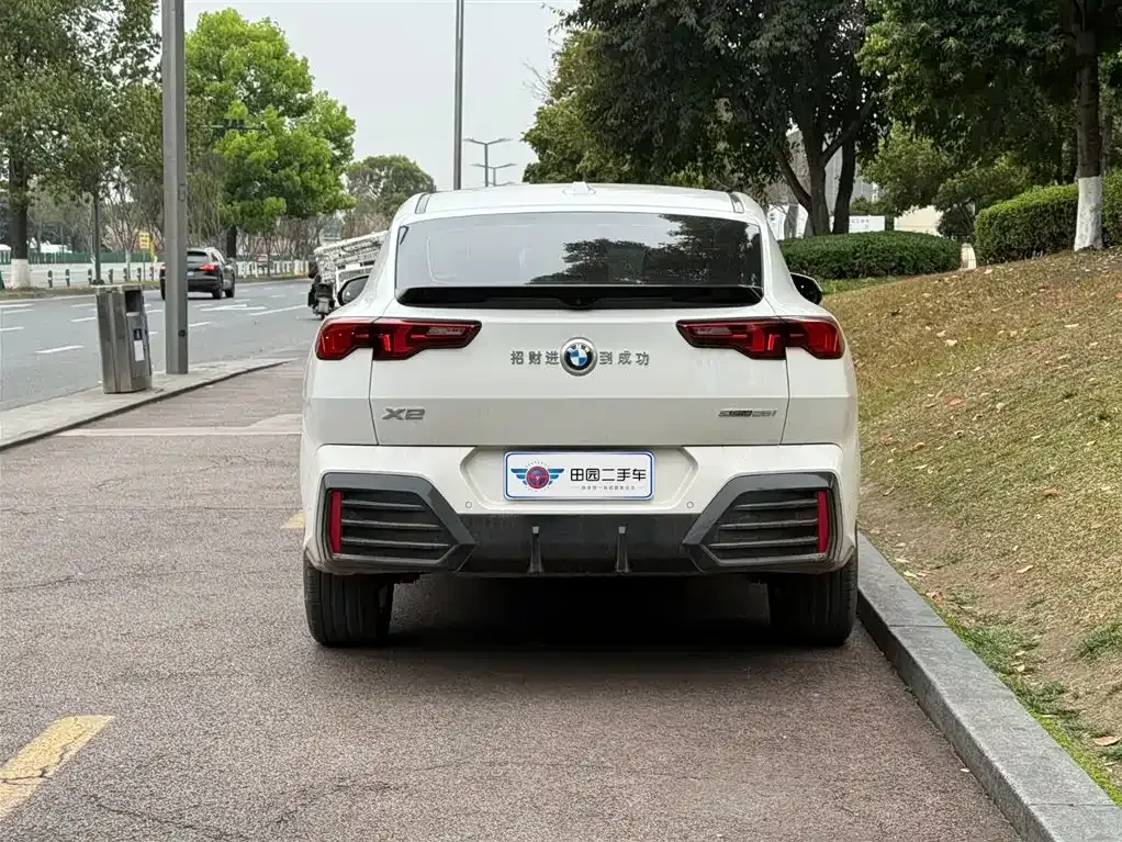 BMW X2 (Import) — фото 9