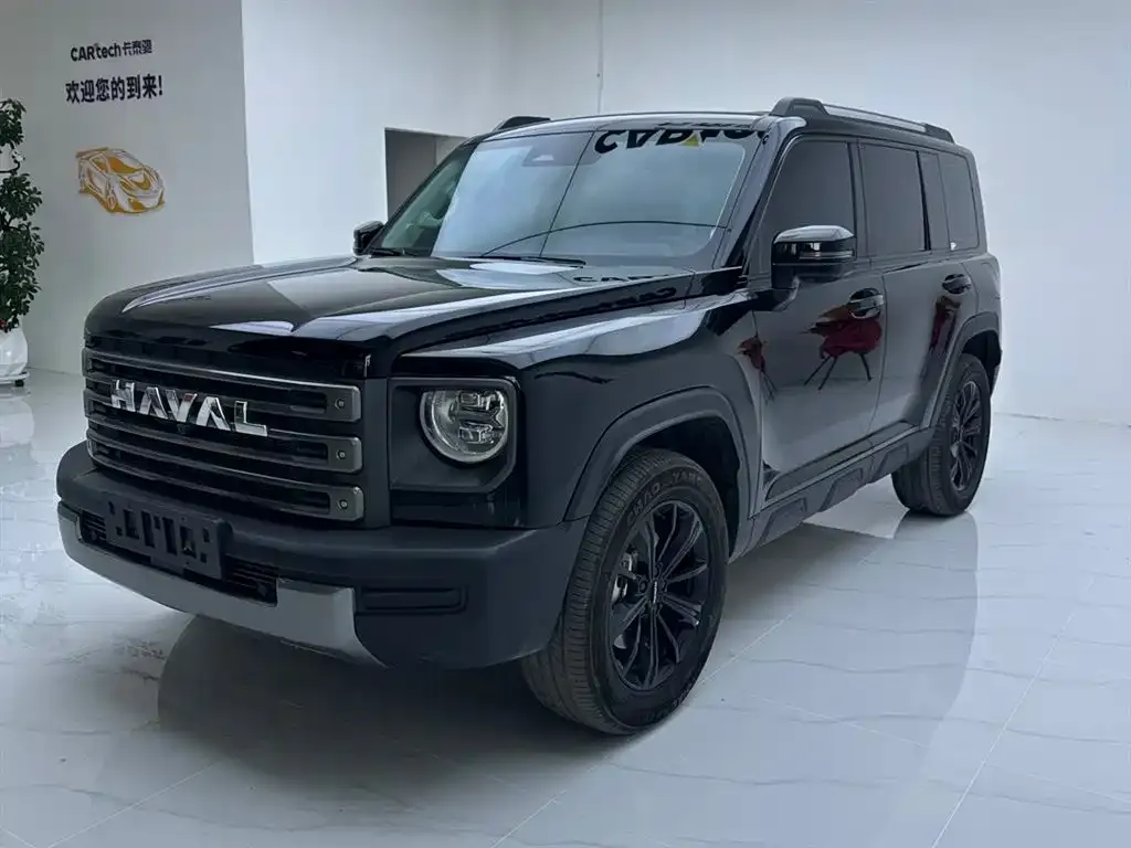 Haval Menglong New Energy — фото 1