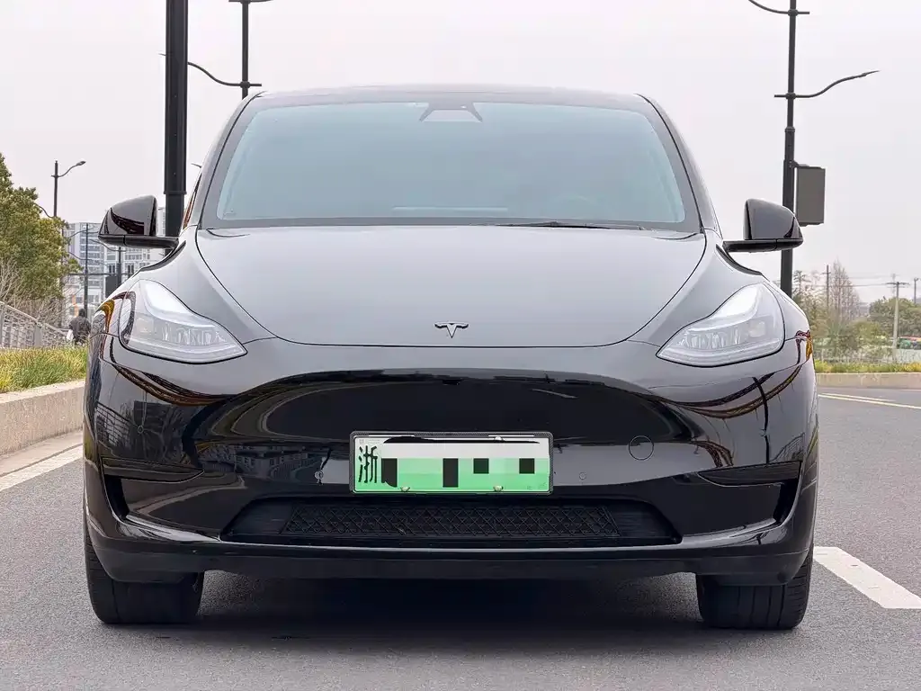 Tesla Model Y — фото 2
