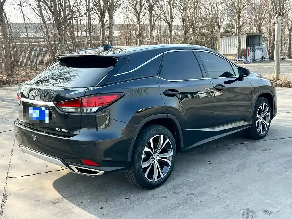 Lexus RX — фото 5