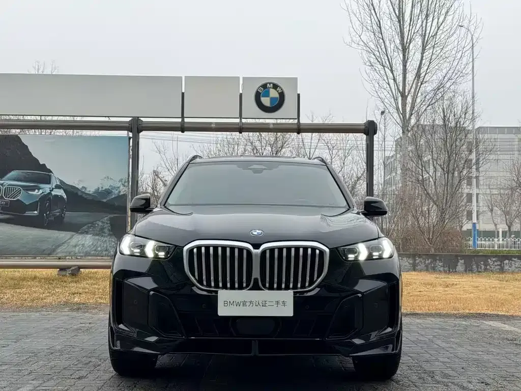 BMW X5 — фото 6
