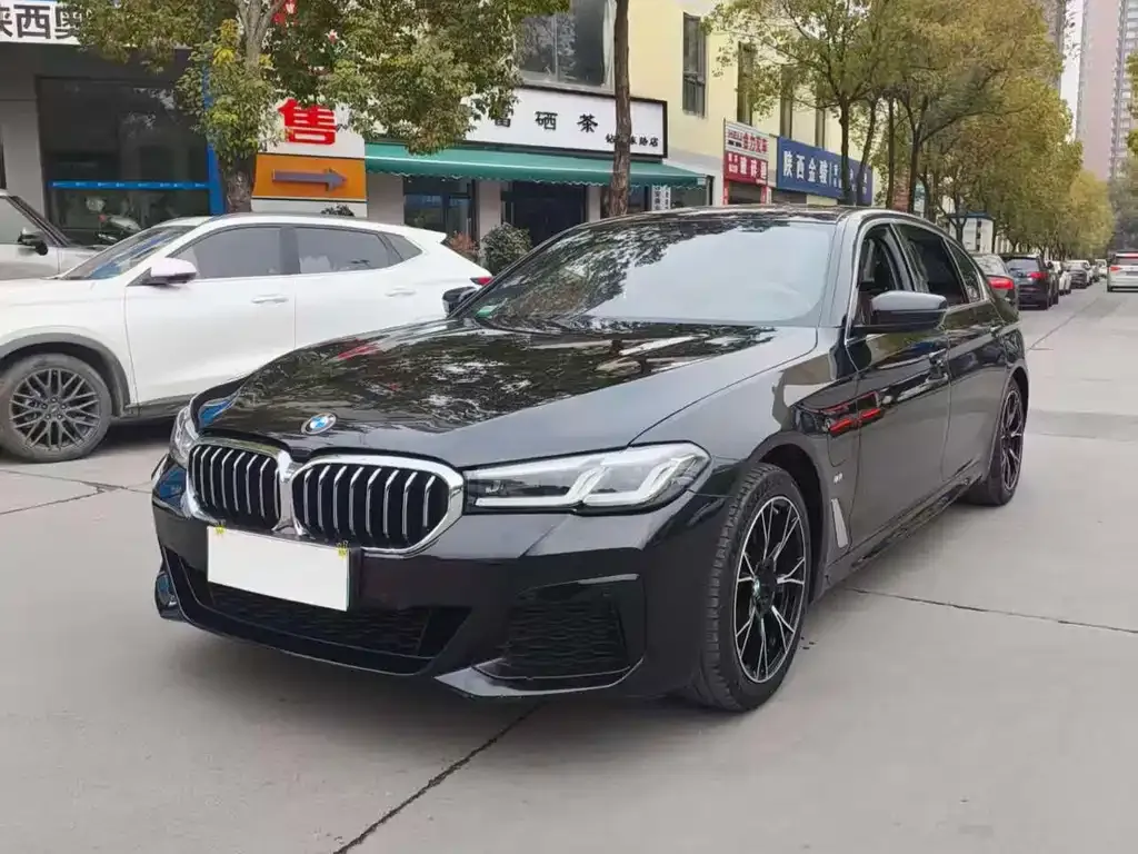 BMW 5 Series New Energy — фото 3