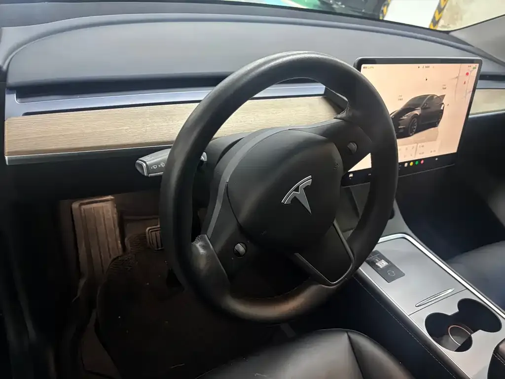 Tesla Model Y — фото 2