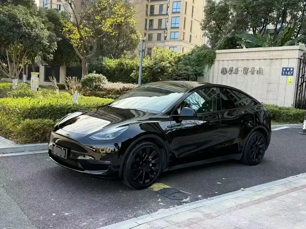 Tesla Model Y — фото 1