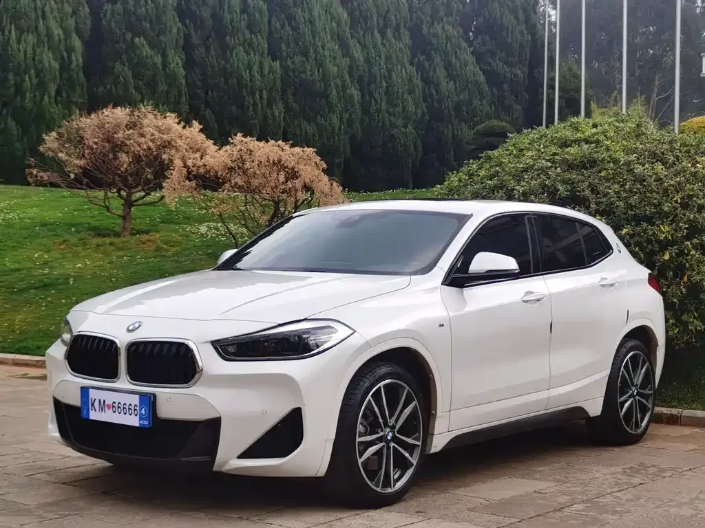 BMW X2 — фото 1