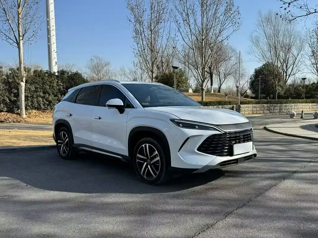 BYD L DM-i — фото 6