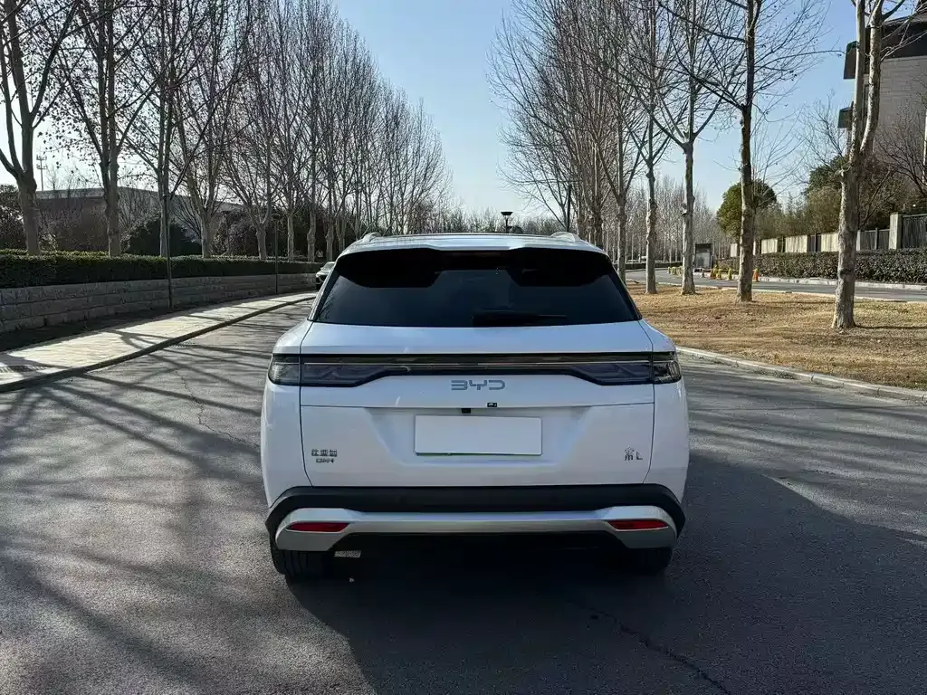 BYD L DM-i — фото 7