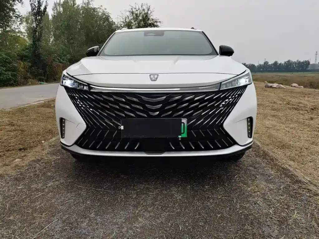 Roewe RX5 New Energy — фото 10