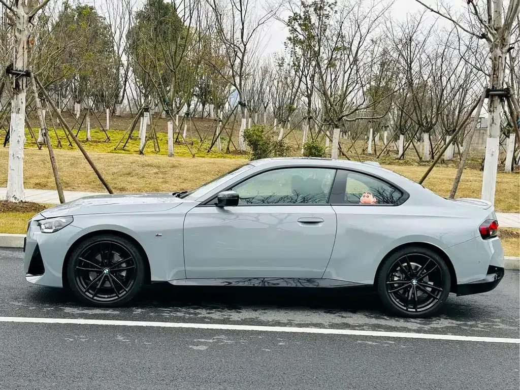 BMW 2 Series (Import) — фото 10