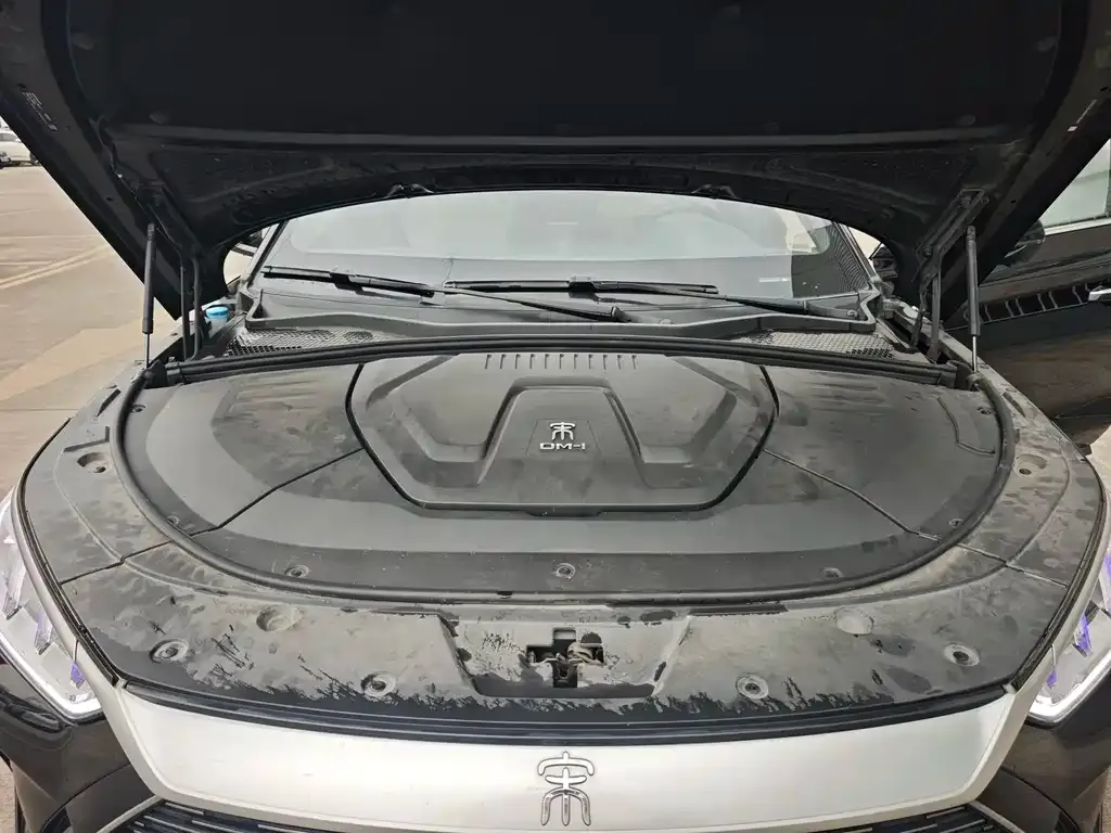 BYD PLUS New Energy — фото 9