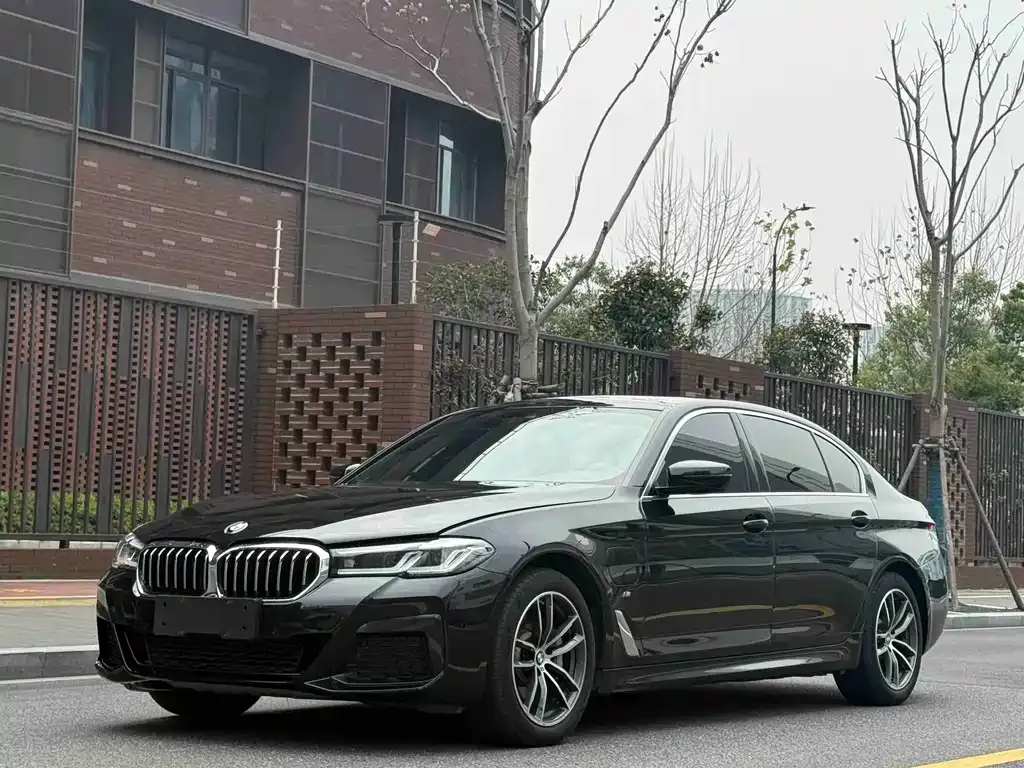 BMW 5 Series New Energy — фото 1