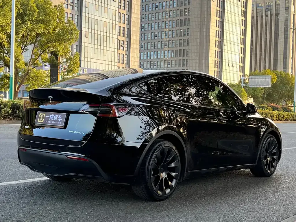 Tesla Model Y — фото 4