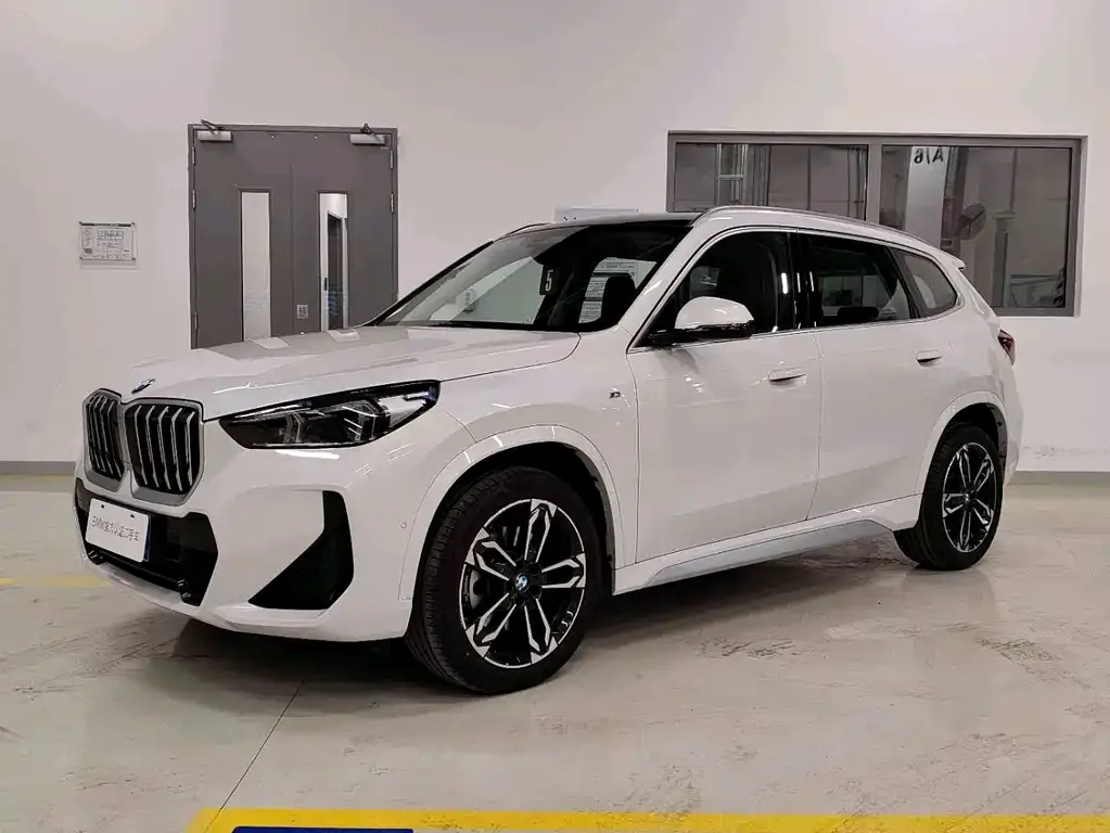 BMW X1 — фото 1
