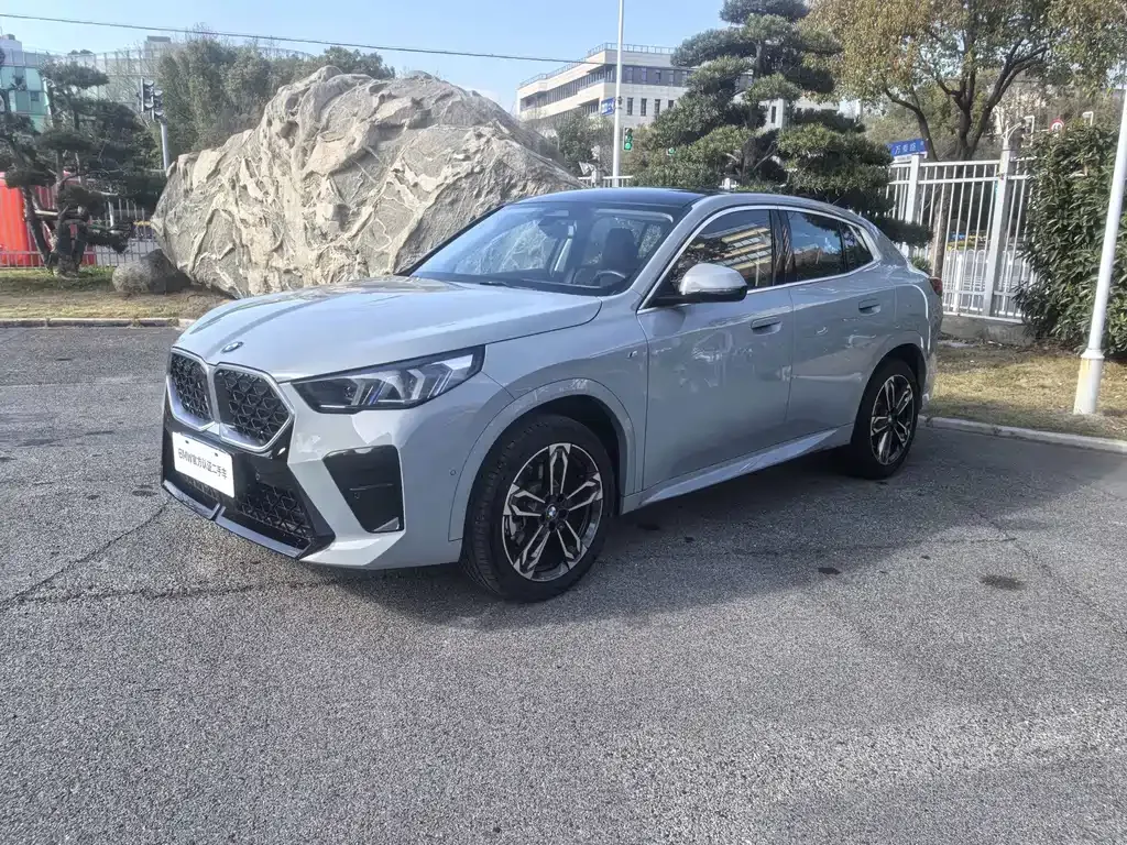 BMW X2 (Import) — фото 1