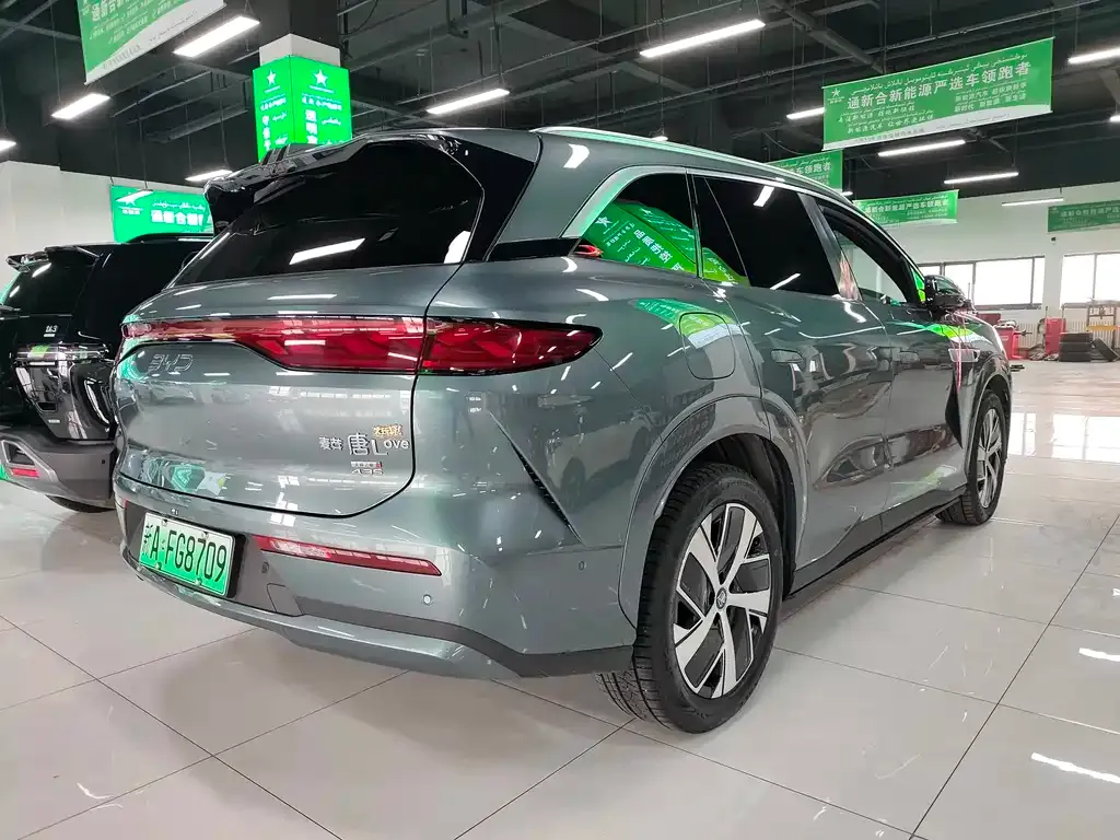 BYD Tang L — фото 9