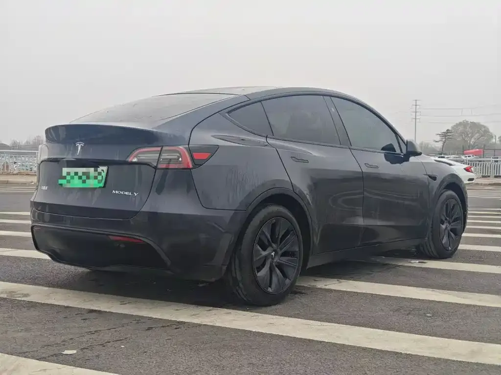 Tesla Model Y — фото 2