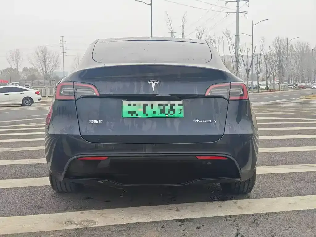 Tesla Model Y — фото 3