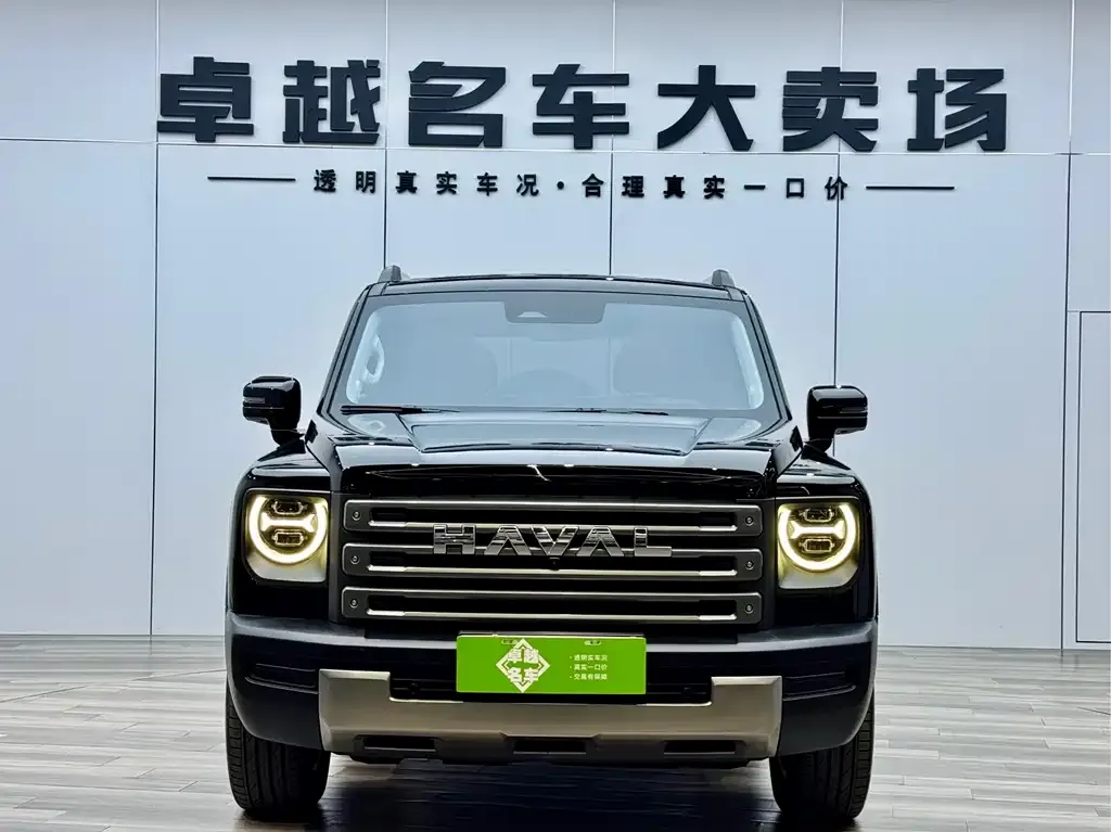 Haval Menglong New Energy — фото 1