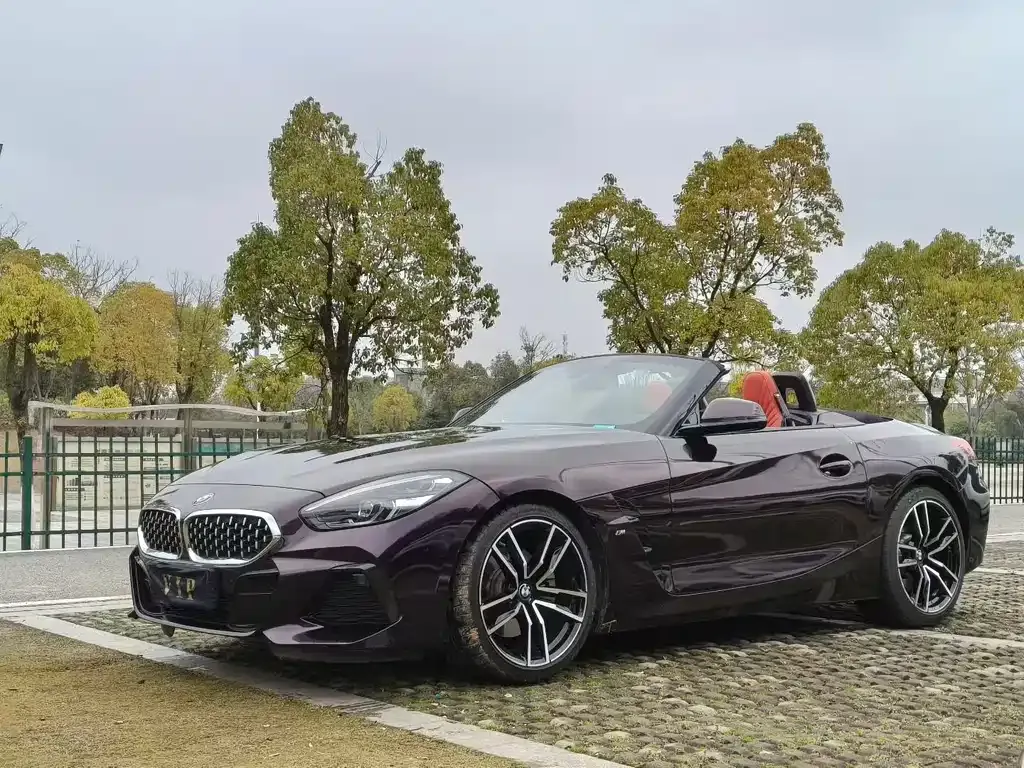 BMW Z4 — фото 1