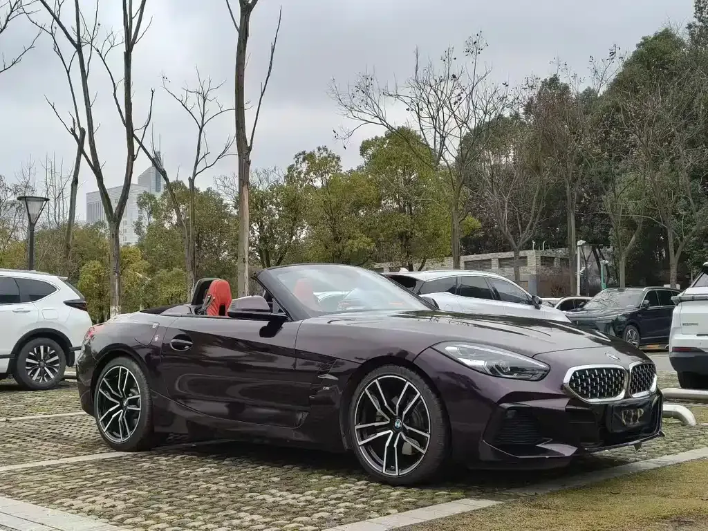 BMW Z4 — фото 9