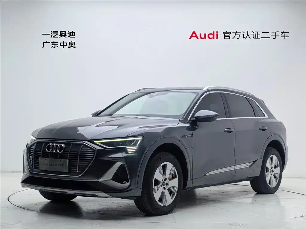 Audi e-tron — фото 1